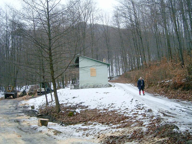 20110219 057.jpg